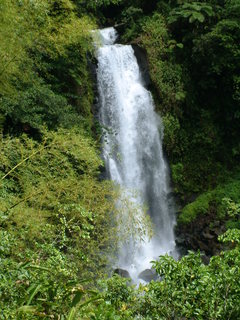 Filename=Cruise_Day_7_-Dominica-_050.jpg
Filesize=1228KiB
Dimensions=1536x2048
Date added=Sep 15, 2019 Cruise_Day_7_-Dominica-_050.jpg