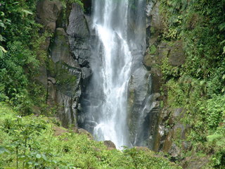 Filename=Cruise_Day_7_-Dominica-_055.jpg
Filesize=1257KiB
Dimensions=2048x1536
Date added=Sep 15, 2019 Cruise_Day_7_-Dominica-_055.jpg