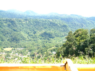 Filename=Cruise_Day_7_-Dominica-_057.jpg
Filesize=1452KiB
Dimensions=2048x1536
Date added=Sep 15, 2019 Cruise_Day_7_-Dominica-_057.jpg