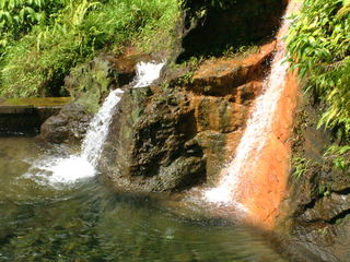 Filename=Cruise_Day_7_-Dominica-_061.jpg
Filesize=1164KiB
Dimensions=2048x1536
Date added=Sep 15, 2019 Cruise_Day_7_-Dominica-_061.jpg