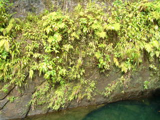 Filename=Cruise_Day_7_-Dominica-_064.jpg
Filesize=1228KiB
Dimensions=2048x1536
Date added=Sep 15, 2019 Cruise_Day_7_-Dominica-_064.jpg