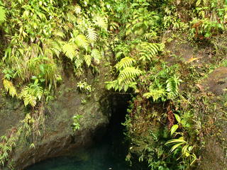 Filename=Cruise_Day_7_-Dominica-_067.jpg
Filesize=1235KiB
Dimensions=2048x1536
Date added=Sep 15, 2019 Cruise_Day_7_-Dominica-_067.jpg