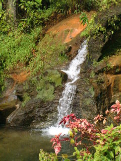 Filename=Cruise_Day_7_-Dominica-_069.jpg
Filesize=1169KiB
Dimensions=1536x2048
Date added=Sep 15, 2019 Cruise_Day_7_-Dominica-_069.jpg