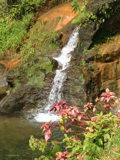 Filename=Cruise_Day_7_-Dominica-_070.jpg
Filesize=1179KiB
Dimensions=1536x2048
Date added=Sep 15, 2019 Cruise_Day_7_-Dominica-_070.jpg