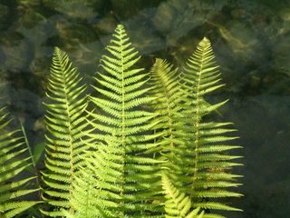 Filename=Cruise_Day_7_-Dominica-_071.jpg
Filesize=1127KiB
Dimensions=2048x1536
Date added=Sep 15, 2019 Cruise_Day_7_-Dominica-_071.jpg