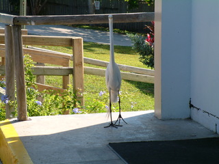 Filename=Post_Cruise_001.jpg
Filesize=1262KiB
Dimensions=2048x1536
Date added=Sep 15, 2019 Post_Cruise_001.jpg