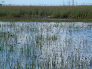 Filename=Post_Cruise_010.jpg
Filesize=1236KiB
Dimensions=2048x1536
Date added=Sep 15, 2019 Post_Cruise_010.jpg