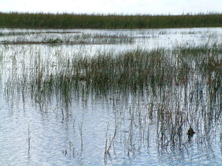 Filename=Post_Cruise_011.jpg
Filesize=1252KiB
Dimensions=2048x1536
Date added=Sep 15, 2019 Post_Cruise_011.jpg