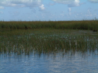 Filename=Post_Cruise_012.jpg
Filesize=1262KiB
Dimensions=2048x1536
Date added=Sep 15, 2019 Post_Cruise_012.jpg