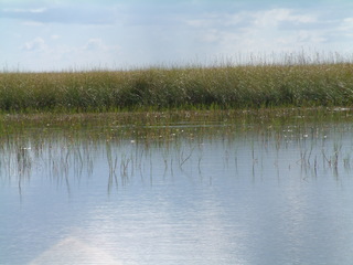 Filename=Post_Cruise_014.jpg
Filesize=1277KiB
Dimensions=2048x1536
Date added=Sep 15, 2019 Post_Cruise_014.jpg