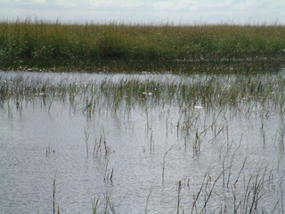 Filename=Post_Cruise_015.jpg
Filesize=1259KiB
Dimensions=2048x1536
Date added=Sep 15, 2019 Post_Cruise_015.jpg