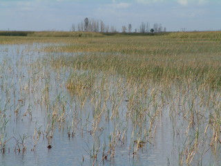 Filename=Post_Cruise_016.jpg
Filesize=1271KiB
Dimensions=2048x1536
Date added=Sep 15, 2019 Post_Cruise_016.jpg