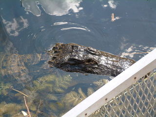 Filename=Post_Cruise_019.jpg
Filesize=1266KiB
Dimensions=2048x1536
Date added=Sep 15, 2019 Post_Cruise_019.jpg