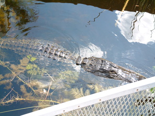 Filename=Post_Cruise_020.jpg
Filesize=1296KiB
Dimensions=2048x1536
Date added=Sep 15, 2019 Post_Cruise_020.jpg