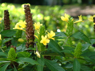 Filename=Post_Cruise_025.jpg
Filesize=1235KiB
Dimensions=2048x1536
Date added=Sep 15, 2019 Post_Cruise_025.jpg