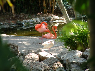 Filename=Post_Cruise_027.jpg
Filesize=1256KiB
Dimensions=2048x1536
Date added=Sep 15, 2019 Post_Cruise_027.jpg