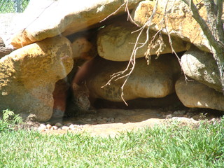 Filename=Post_Cruise_029.jpg
Filesize=1314KiB
Dimensions=2048x1536
Date added=Sep 15, 2019 Post_Cruise_029.jpg