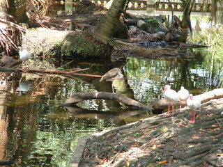 Filename=Post_Cruise_036.jpg
Filesize=1247KiB
Dimensions=2048x1536
Date added=Sep 15, 2019 Post_Cruise_036.jpg