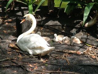 Filename=Post_Cruise_042.jpg
Filesize=1258KiB
Dimensions=2048x1536
Date added=Sep 15, 2019 Post_Cruise_042.jpg