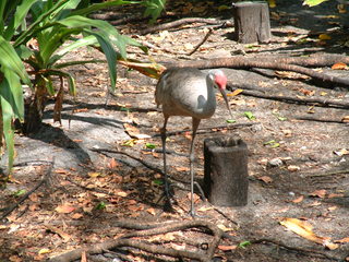 Filename=Post_Cruise_043.jpg
Filesize=1259KiB
Dimensions=2048x1536
Date added=Sep 15, 2019 Post_Cruise_043.jpg