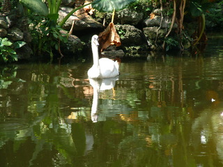 Filename=Post_Cruise_048.jpg
Filesize=1262KiB
Dimensions=2048x1536
Date added=Sep 15, 2019 Post_Cruise_048.jpg