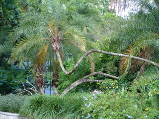 Filename=Post_Cruise_052.jpg
Filesize=1239KiB
Dimensions=2048x1536
Date added=Sep 15, 2019 Post_Cruise_052.jpg