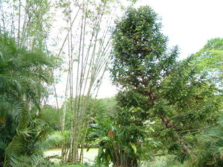 Filename=Post_Cruise_063.jpg
Filesize=1312KiB
Dimensions=2048x1536
Date added=Sep 15, 2019 Post_Cruise_063.jpg