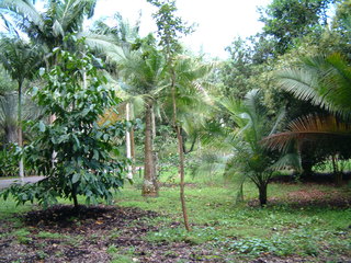 Filename=Post_Cruise_064.jpg
Filesize=1287KiB
Dimensions=2048x1536
Date added=Sep 15, 2019 Post_Cruise_064.jpg