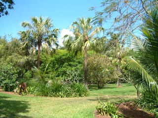 Filename=Post_Cruise_066.jpg
Filesize=1239KiB
Dimensions=2048x1536
Date added=Sep 15, 2019 Post_Cruise_066.jpg