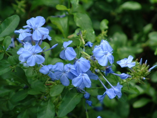 Filename=Post_Cruise_067.jpg
Filesize=1230KiB
Dimensions=2048x1536
Date added=Sep 15, 2019 Post_Cruise_067.jpg