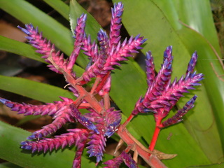 Filename=Post_Cruise_068.jpg
Filesize=1233KiB
Dimensions=2048x1536
Date added=Sep 15, 2019 Post_Cruise_068.jpg