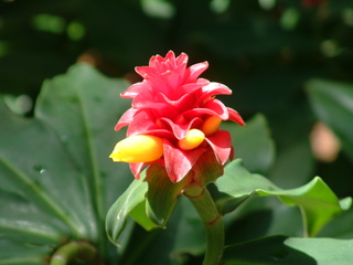 Filename=Post_Cruise_069.jpg
Filesize=1195KiB
Dimensions=2048x1536
Date added=Sep 15, 2019 Post_Cruise_069.jpg