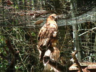 Filename=Post_Cruise_071.jpg
Filesize=1280KiB
Dimensions=2048x1536
Date added=Sep 15, 2019 Post_Cruise_071.jpg