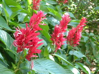 Filename=Post_Cruise_072.jpg
Filesize=1265KiB
Dimensions=2048x1536
Date added=Sep 15, 2019 Post_Cruise_072.jpg