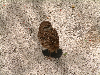 Filename=Post_Cruise_073.jpg
Filesize=1263KiB
Dimensions=2048x1536
Date added=Sep 15, 2019 Post_Cruise_073.jpg