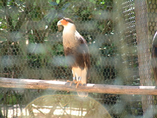 Filename=Post_Cruise_074.jpg
Filesize=1256KiB
Dimensions=2048x1536
Date added=Sep 15, 2019 Post_Cruise_074.jpg