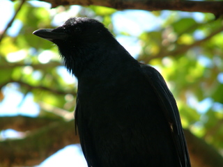 Filename=Post_Cruise_078.jpg
Filesize=1223KiB
Dimensions=2048x1536
Date added=Sep 15, 2019 Post_Cruise_078.jpg