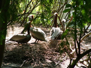 Filename=Post_Cruise_083.jpg
Filesize=1248KiB
Dimensions=2048x1536
Date added=Sep 15, 2019 Post_Cruise_083.jpg