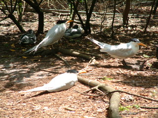 Filename=Post_Cruise_093.jpg
Filesize=1263KiB
Dimensions=2048x1536
Date added=Sep 15, 2019 Post_Cruise_093.jpg