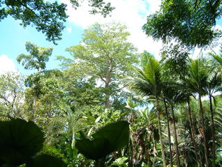 Filename=Post_Cruise_1_002.jpg
Filesize=1260KiB
Dimensions=2048x1536
Date added=Sep 15, 2019 Post_Cruise_1_002.jpg