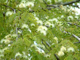 Filename=Post_Cruise_1_003.jpg
Filesize=1271KiB
Dimensions=2048x1536
Date added=Sep 15, 2019 Post_Cruise_1_003.jpg