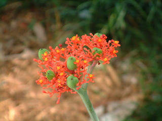 Filename=Post_Cruise_1_006.jpg
Filesize=1194KiB
Dimensions=2048x1536
Date added=Sep 15, 2019 Post_Cruise_1_006.jpg