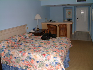 Filename=Post_Cruise_1_007.jpg
Filesize=1274KiB
Dimensions=2048x1536
Date added=Sep 15, 2019 Post_Cruise_1_007.jpg