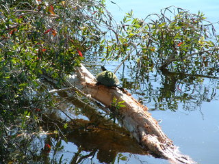 Filename=Post_Cruise_1_012.jpg
Filesize=1266KiB
Dimensions=2048x1536
Date added=Sep 15, 2019 Post_Cruise_1_012.jpg