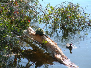 Filename=Post_Cruise_1_015.jpg
Filesize=1248KiB
Dimensions=2048x1536
Date added=Sep 15, 2019 Post_Cruise_1_015.jpg