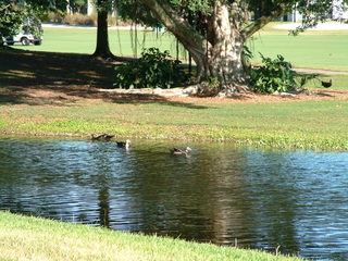 Filename=Post_Cruise_1_016.jpg
Filesize=1246KiB
Dimensions=2048x1536
Date added=Sep 15, 2019 Post_Cruise_1_016.jpg