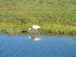 Filename=Post_Cruise_1_019.jpg
Filesize=1242KiB
Dimensions=2048x1536
Date added=Sep 15, 2019 Post_Cruise_1_019.jpg