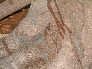 Filename=Post_Cruise_1_024.jpg
Filesize=1301KiB
Dimensions=2048x1536
Date added=Sep 15, 2019 Post_Cruise_1_024.jpg