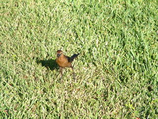 Filename=Post_Cruise_1_025.jpg
Filesize=1265KiB
Dimensions=2048x1536
Date added=Sep 15, 2019 Post_Cruise_1_025.jpg