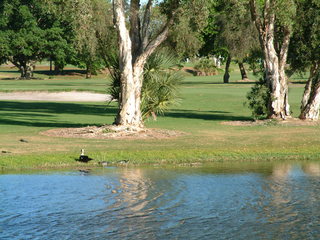 Filename=Post_Cruise_1_034.jpg
Filesize=1222KiB
Dimensions=2048x1536
Date added=Sep 15, 2019 Post_Cruise_1_034.jpg